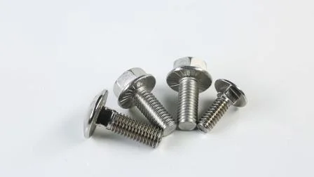 China Wholesale Made in China Stainless Steel Anchor Bolt Carriage Bolts U Bolt Stud Bolts Flange Bolt Eye Bolt Wheel Bolt T Bolt Hex Bolt and Nut