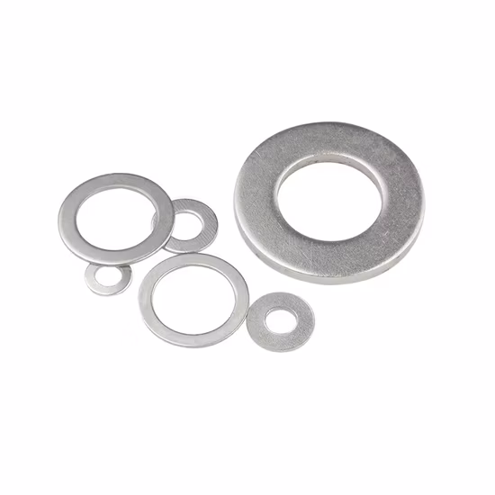 High Quality Carbon Steel ASTM F436 Hardened Black Plain Flat Washer