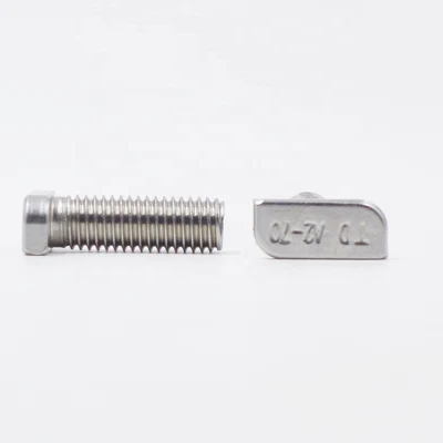 Stainless Steel T Type Head Bolts 304 316 A2 A4
