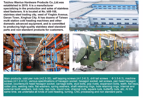 SS304 Wholesale Sales Hex Bolt A2 A4 Stainless Steel Hexagon Bolt