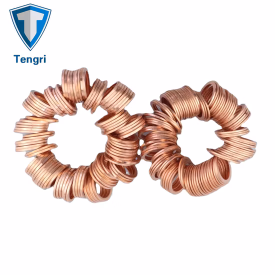 DIN127 Galvanized Flat Washer Plain Gasket Spring Washer