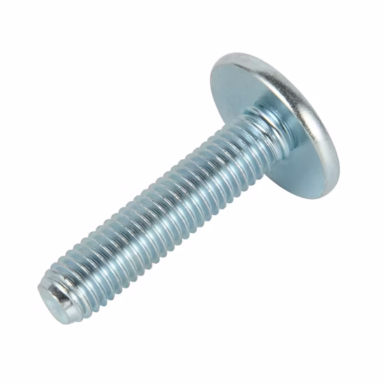 Galvanized T Type Head Bolt, Carbon Steel T Head Bolt/T Bolt/T